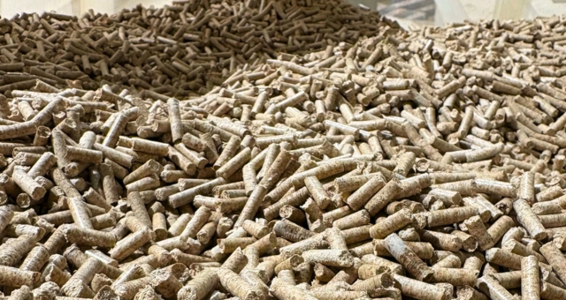 Pellets-640x340px